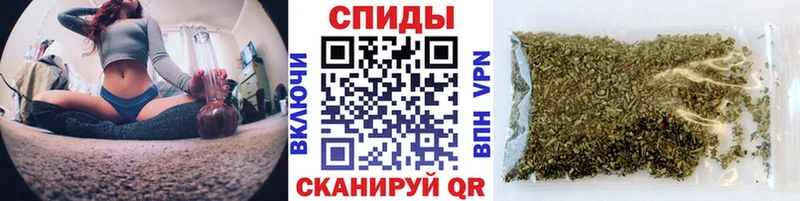 blacksprut онион  Суздаль  БУТИРАТ буратино 
