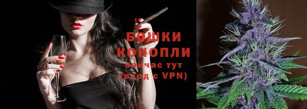 молекула духа Арсеньев