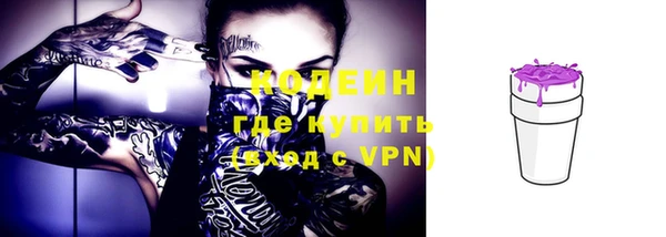 молекула духа Арсеньев
