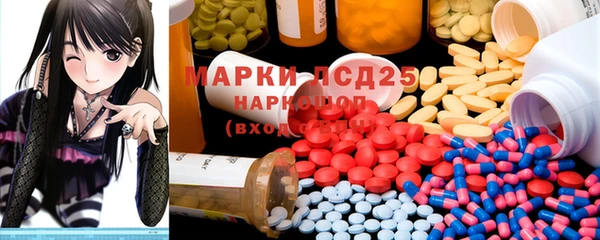 молекула духа Арсеньев
