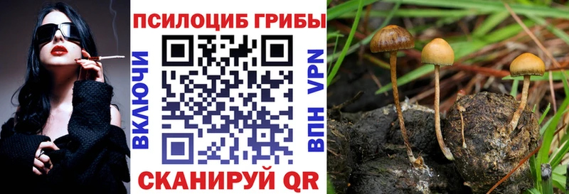 Псилоцибиновые грибы прущие грибы  купить наркотики сайты  shop клад  Суздаль 